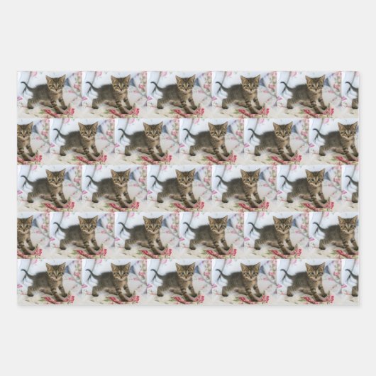 Niedlich Tabby Kitten sieht überraschend Gemustert Geschenkpapier Set (Vorderseite 3)