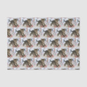 Niedlich Tabby Kitten sieht überraschend Gemustert Seidenpapier (Vorderseite)