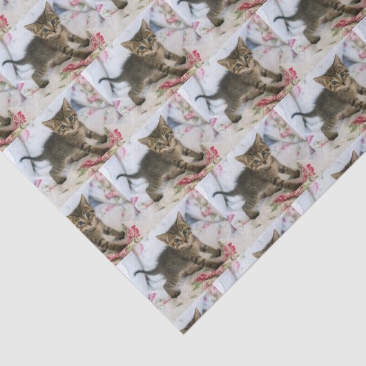 Niedlich Tabby Kitten sieht überraschend Gemustert Seidenpapier (Ausschnitt)