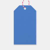 Niedlich Teddy Bear Blue Baby Dusche Geschenkanhänger (Rückseite)