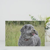 Niedlich Terrier Dog Briefpapier (Stehend Vorderseite)