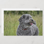 Niedlich Terrier Dog Briefpapier (Vorne/Hinten)