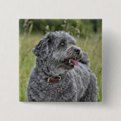 Niedlich Terrier Dog Button (Vorderseite)