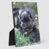 Niedlich Terrier Dog Fotoplatte (Seite)