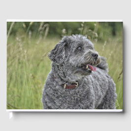 Niedlich Terrier Dog Gästebuch