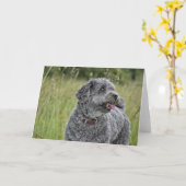 Niedlich Terrier Dog Karte (Gelbe Blume)