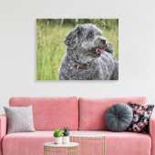 Niedlich Terrier Dog Leinwanddruck (Insitu (Wohnzimmer))