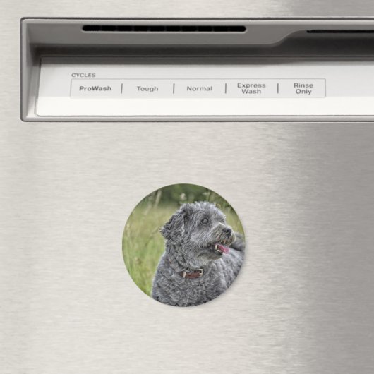 Niedlich Terrier Dog Magnet (In Situ (Geschirrspüler))