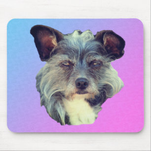 Niedlich Terrier Dog Mousepad