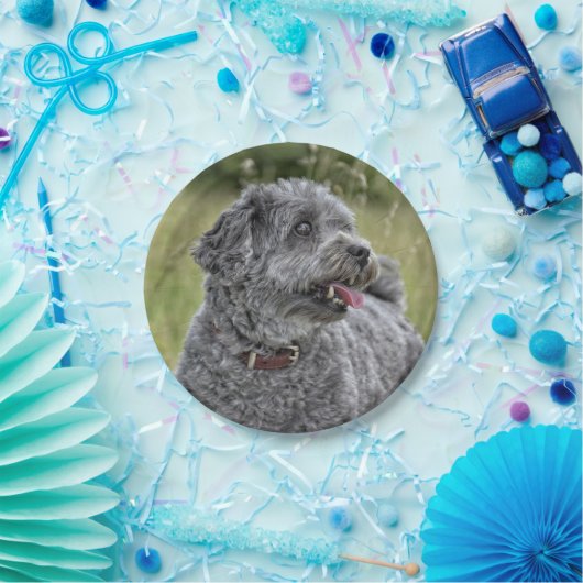 Niedlich Terrier Dog Pappteller (Party)