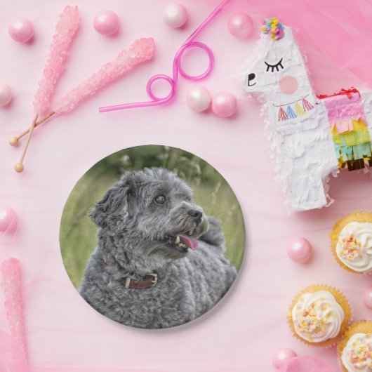 Niedlich Terrier Dog Pappteller (Party)