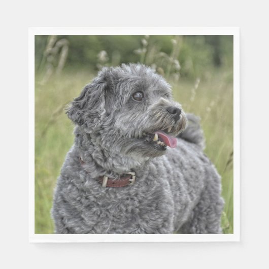 Niedlich Terrier Dog Serviette (Vorderseite)