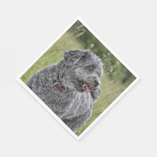 Niedlich Terrier Dog Serviette (Ecke)