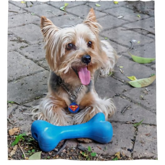 Niedlich Terrier Duschvorhang (Vorderseite)