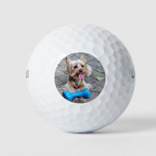 Niedlich Terrier Golfball