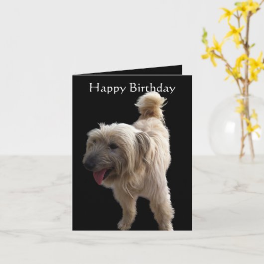 Niedlich Terrier Karte (Gelbe Blume)