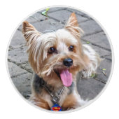 Niedlich Terrier Keramikknauf (Vorderseite)