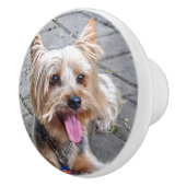 Niedlich Terrier Keramikknauf (Rechts)