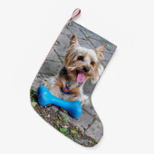 Niedlich Terrier Kleiner Weihnachtsstrumpf (Vorderansicht (hängend))