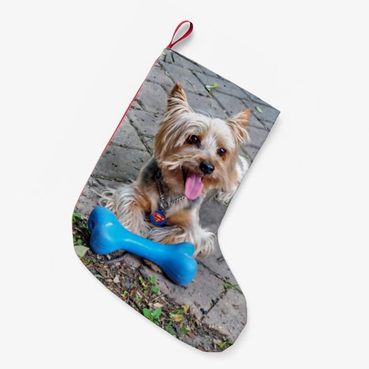 Niedlich Terrier Kleiner Weihnachtsstrumpf (Vorderansicht (hängend))