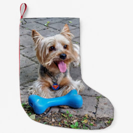 Niedlich Terrier Kleiner Weihnachtsstrumpf