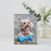 Niedlich Terrier Postkarte (Stehend Vorderseite)