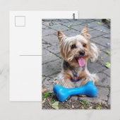 Niedlich Terrier Postkarte (Vorne/Hinten)