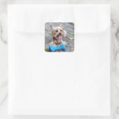 Niedlich Terrier Quadratischer Aufkleber (Tasche)