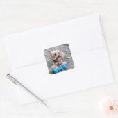 Niedlich Terrier Quadratischer Aufkleber (Umschlag)