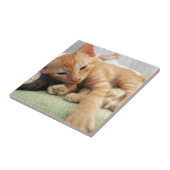 Niedlich Tiger Stripe Kitten Fliese (Seite)