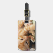 Niedlich Tiger Stripe Kitten Gepäckanhänger (Vorderseite vertikal)