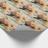 Niedlich Tiger Stripe Kitten Geschenkpapier (Ecke)