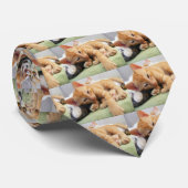 Niedlich Tiger Stripe Kitten Krawatte (Gerollt)