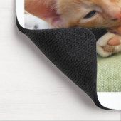 Niedlich Tiger Stripe Kitten Mousepad (Ecke)