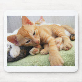 Niedlich Tiger Stripe Kitten Mousepad
