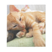Niedlich Tiger Stripe Kitten Notizblock (Vorderseite)