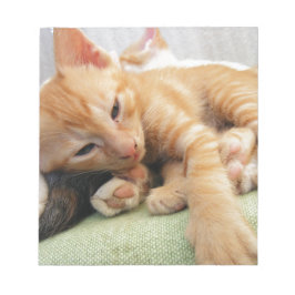 Niedlich Tiger Stripe Kitten Notizblock