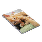 Niedlich Tiger Stripe Kitten Notizblock (Rechte Seite)