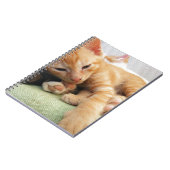 Niedlich Tiger Stripe Kitten Notizblock (Linke Seite)