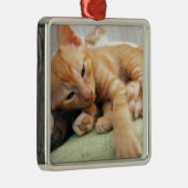 Niedlich Tiger Stripe Kitten Ornament Aus Metall (Rechts)