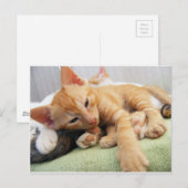 Niedlich Tiger Stripe Kitten Postkarte (Vorne/Hinten)