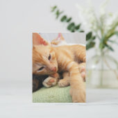 Niedlich Tiger Stripe Kitten Postkarte (Stehend Vorderseite)