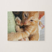 Niedlich Tiger Stripe Kitten Puzzle (Horizontal)