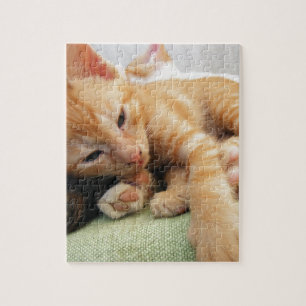 Niedlich Tiger Stripe Kitten Puzzle