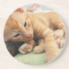 Niedlich Tiger Stripe Kitten Sandstein Untersetzer