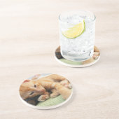 Niedlich Tiger Stripe Kitten Sandstein Untersetzer (Seite)