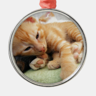 Niedlich Tiger Stripe Kitten Silbernes Ornament