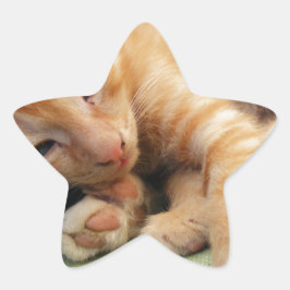 Niedlich Tiger Stripe Kitten Stern-Aufkleber