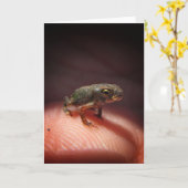 Niedlich Tiny Baby Toad / Kaulquappe Karte (Gelbe Blume)