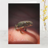Niedlich Tiny Baby Toad / Kaulquappe Karte (Gelbe Blume)